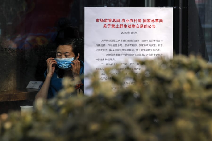 A woman puts on a mask near a notice board that reads &quot;Bans on wild animals trading following the coronavirus outbreak&quot; at a cafe in Beijing, Monday, Feb. 10, 2020. China reported a rise in new virus cases on Monday, possibly denting optimism that its disease control measures like isolating major cities might be working, while Japan reported dozens of new cases aboard a quarantined cruise ship.