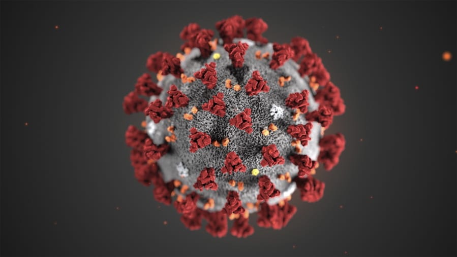 FILE - This illustration provided by the Centers for Disease Control and Prevention (CDC) in January 2020 shows the 2019 Novel Coronavirus (2019-nCoV). Health officials hope to avoid stigma and error in naming the virus causing an international outbreak of respiratory illnesses. But some researchers say the current moniker, 2019 nCoV, which stands for 2019 novel coronavirus, probably won&#039;t stick in the public&#039;s mind.