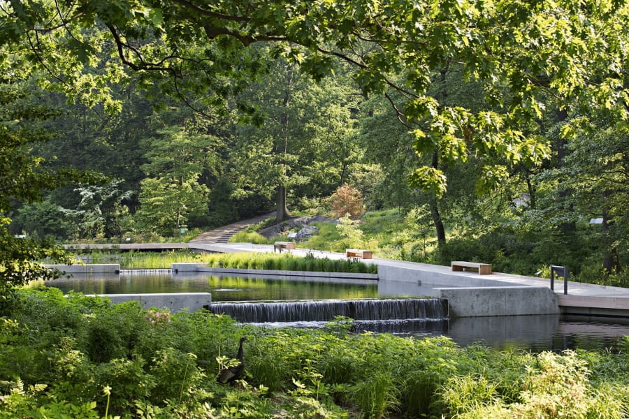 This photo provided by the New York Botanical Garden shows the Native Plant Garden at the NYBG in New York. Sustainability and resilience were important considerations for landscape architect Sheila Brady&#039;s design of the garden. Storm water captured on site feeds the central water feature. Black locust, considered invasive in parts of the US, was used to construct the wooden promenade. The regionally native plants provide invaluable food and shelter for native birds and butterflies at risk from climate change and other anthropogenic stresses.