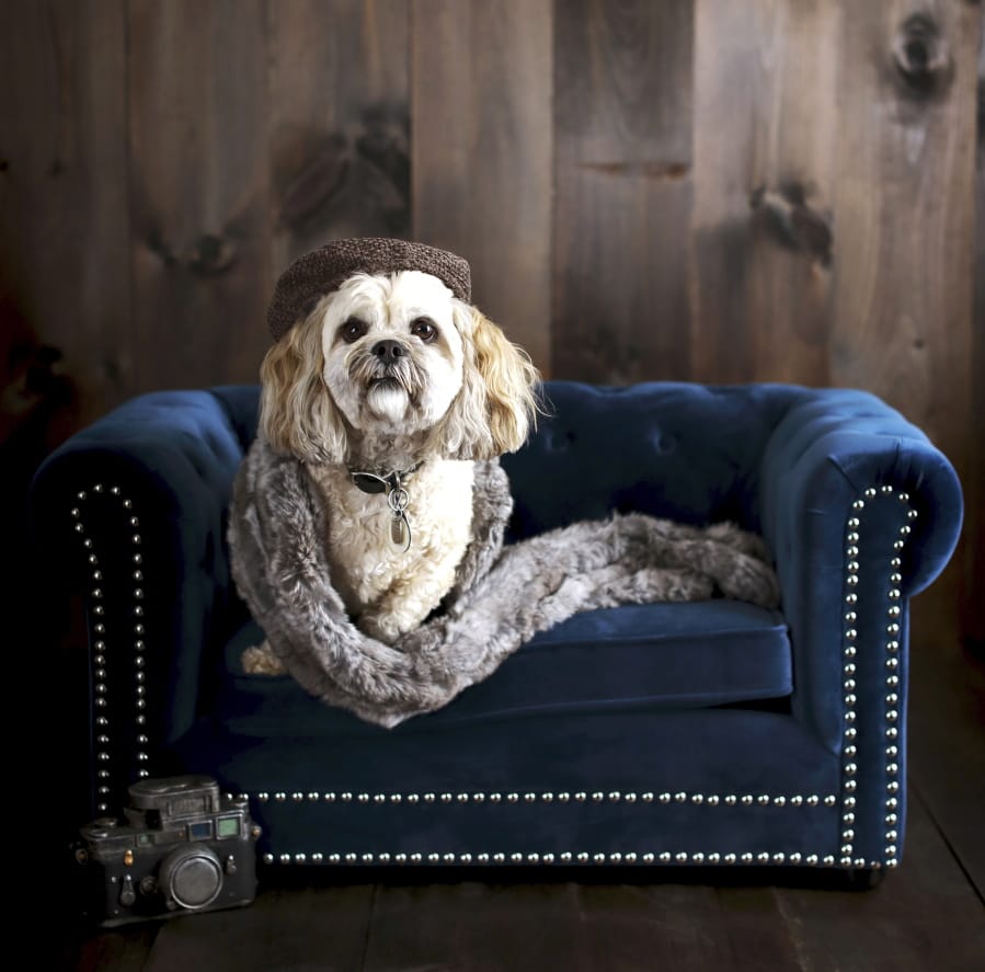 Pottery Barn&#039;s Chesterfield Pet Bed. Pottery Barn, Crate and Barrel, Ikea, Casper mattresses and other popular furniture purveyors have lines for pets, often in styles that complement their human-size living room furniture.