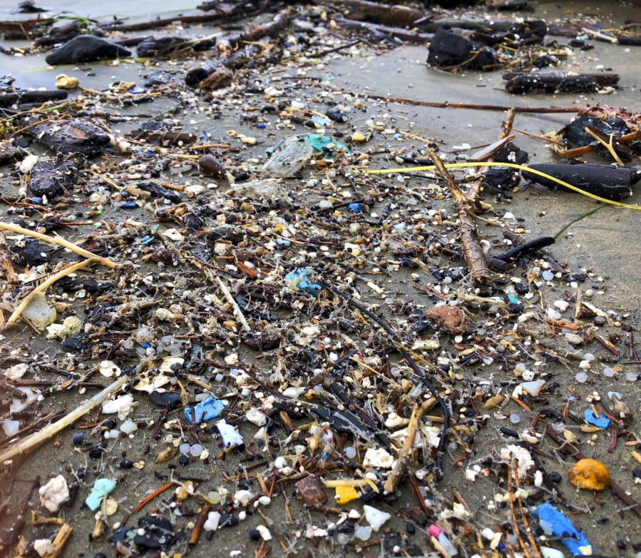 Microplastic debris is seen Jan. 19 at Depoe Bay, Ore. Dozens of scientists from around the U.S. West will attend a gathering this week in Bremerton to better focus the research on the environmental threat.