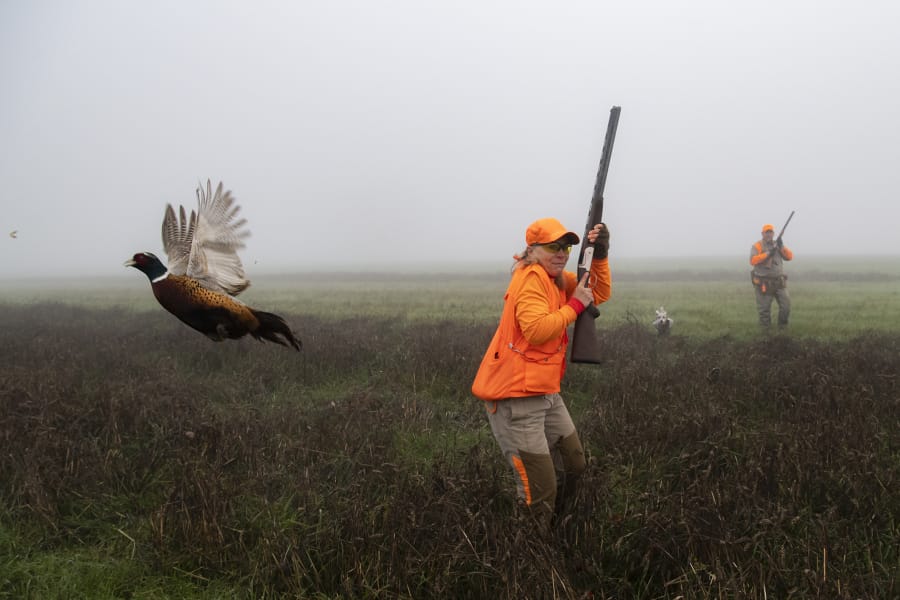 Julie Rouzee with the Vancouver Wildlife League is startled by a pheasant as it&#039;s flushed out by her footsteps while hunting near the Port of Vancouver in November.