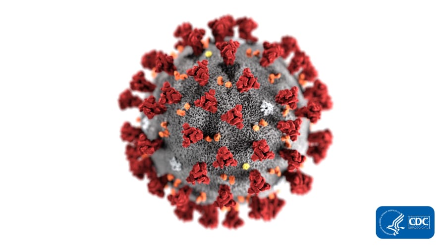 This illustration provided by the Centers for Disease Control and Prevention in January 2020 shows the 2019 Novel Coronavirus (2019-nCoV). This virus was identified as the cause of an outbreak of respiratory illness first detected in Wuhan, China.