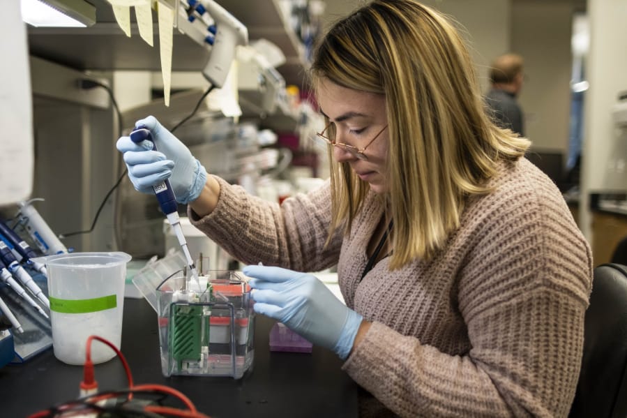 Third year PHD student Brittany Ulloa runs an immunoblot at the UW&#039;s bio research facility in south Lake Union. Dr. Michael Gale and his team at the University of Washington are researching coronavirus. Photographed Tuesday, March 17, 2020.