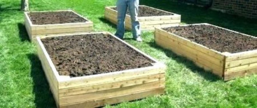 Grow boxes are good way for beginning gardeners to start growing vegetables.