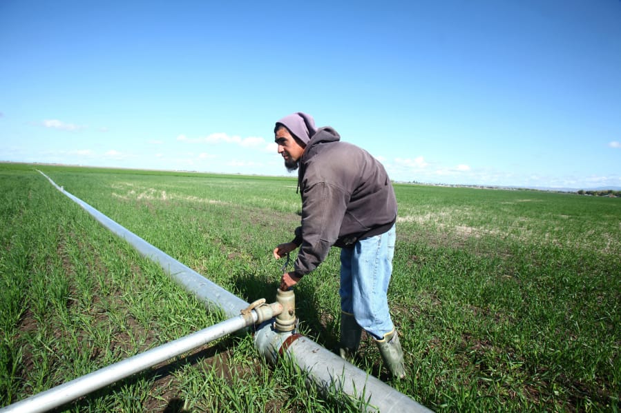 An agricultural worker hired with the help of the H-24 Visa program works at Flying H Farms east of Mountain Home, Idaho on May 4, 2012.