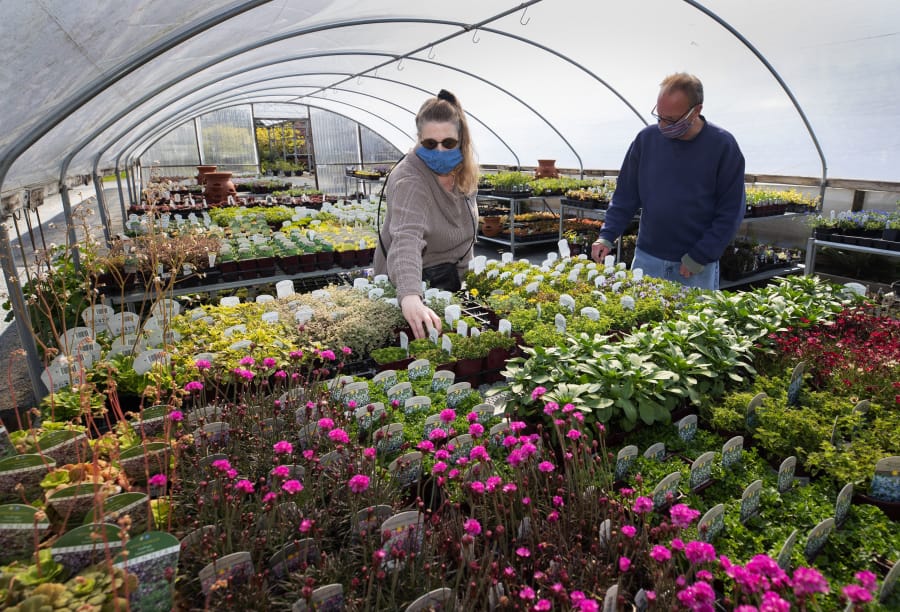 Athena Byrd, left, and Steven Klute, regular shoppers at Zenith Holland Gardens in Des Moines, check out the selection at the nursery on April 17. They were planning to get vegetable starts. (ellen m.