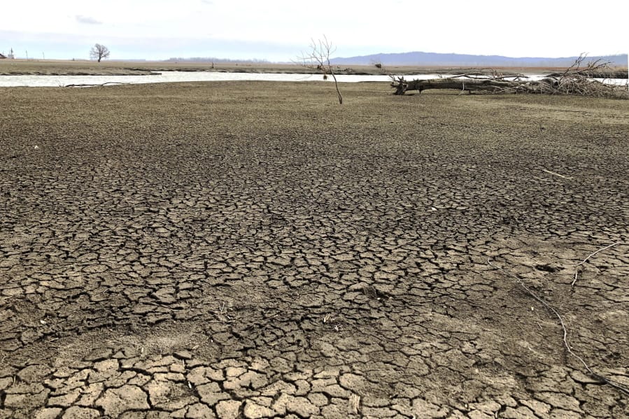 This photo taken March 12, 2020, near Rock Port, Missouri, shows once-productive farmland that was ruined after a Missouri River flood blew open part of an earthen levee and inundated the area in 2019. The landowner is among several in the area who have offered to sell about 500 acres so the levee can be moved farther back, giving the river more room to roam. Levee setbacks are among measures being taken in the U.S. heartland to control floods in ways that work with nature instead of trying to dominate it with concrete infrastructure.