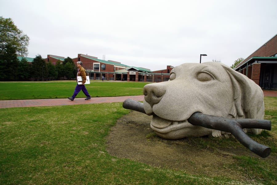 In this March 24, 2020, photo, a woman walks past a dog sculpture on the campus of the North Carolina State University College of Veterinary Medicine in Raleigh, N.C. The school is one of several vet schools around the country that have donated breathing machines, masks and other supplies to their human health-care counterparts in the fight against the COVID-19 pandemic. (AP Photo/Allen G.