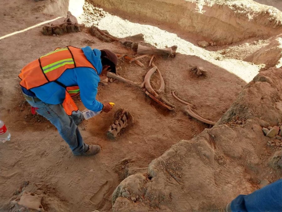In this undated photo released on May 21, 2020 by Mexico&#039;s National Institute of Anthropology and History (INAH), an archaeologist works at the site where bones of about 60 mammoths were discovered at the old Santa Lucia military airbase just north of Mexico City. Institute archaeologist Pedro Sanchez Nava said the giant herbivores had probably just got stuck in the mud of an ancient lake, once known as Xaltocan and now disappeared.