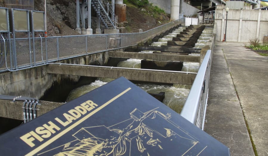 Water flows through a fish ladder designed to help migrating fish swim through the Lower Granite Dam on the Snake River near Almota in April 2018.