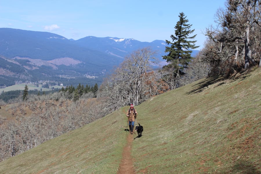 After months of being on lockdown, recreationists can finally return to most of their favorite trails in the Columbia River Gorge, and the Gifford Pinchot National Forest. However, a few of the more popular and crowded trailheads remain closed.