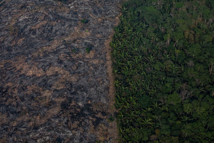 In this aerial image, a section of the Amazon rain forest that has been decimated by wild fires on August 25, 2019 in the Candeias do Jamari region near Porto Velho, Brazil.