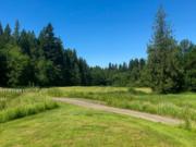 No. 7 hole at The Cedars on Salmon Creek and our first hole of the Dream 18.