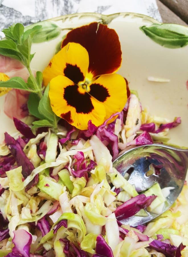 This super simple summer slaw has one basic ingredient -- cool, crunchy cabbage -- and tastes great with barbecued chicken.