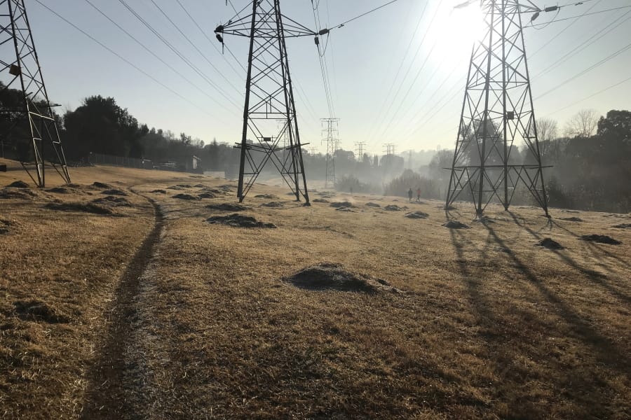 A popular running trail in Johannesburg, South Africa, is frosty on a mid-winter morning.