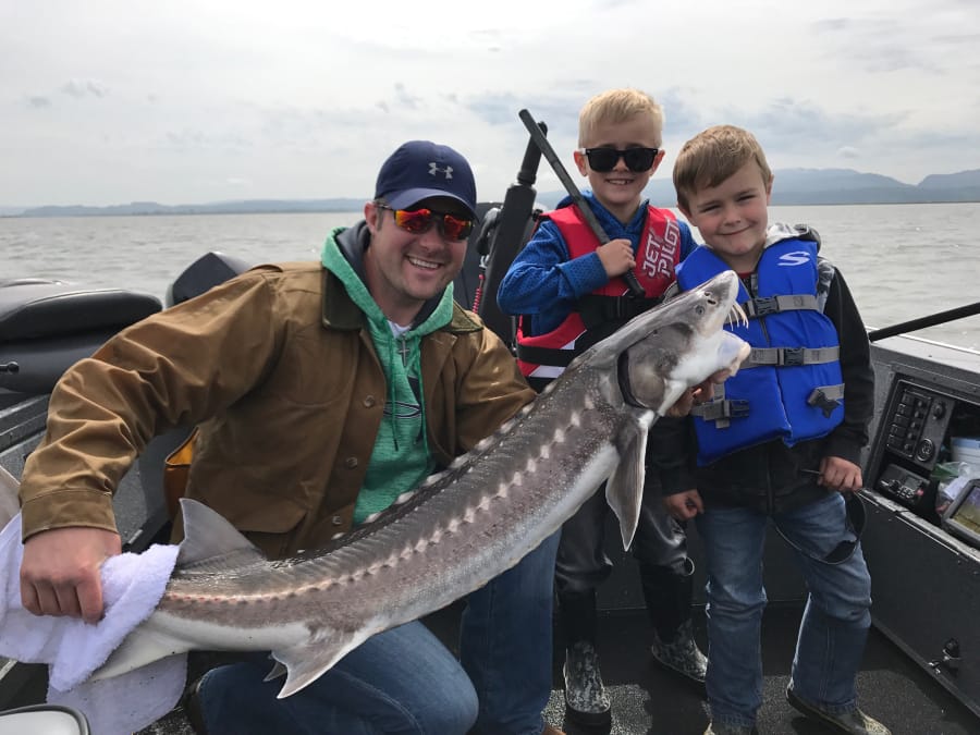A happy father and sons, clients of guide Bob Rees, show off a fine sturgeon taken in the Columbia River. The estuary of the river is full of big sturgeon in this class right now.