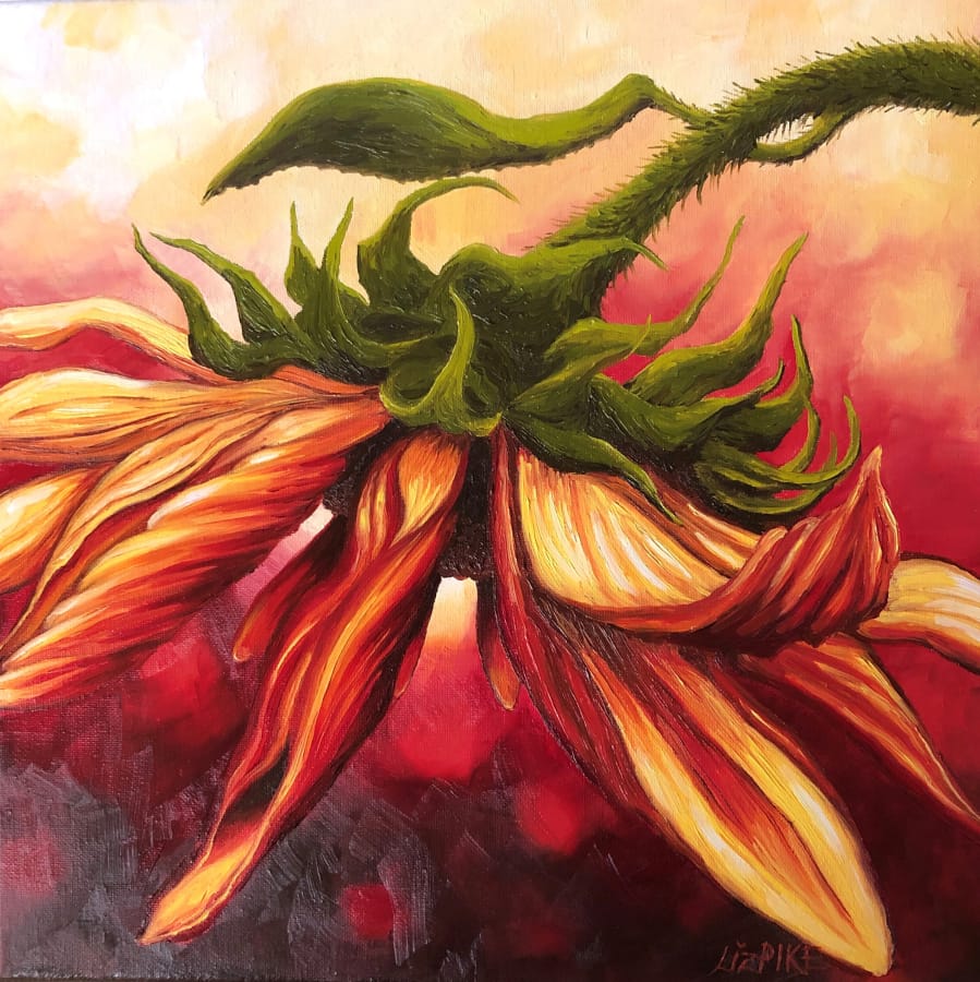 Liz Pike, organizer and host of this weekend&#039;s Fern Prairie Art Fest, is well known for her sunflower paintings, which can be seen in Camas Gallery, among other places.