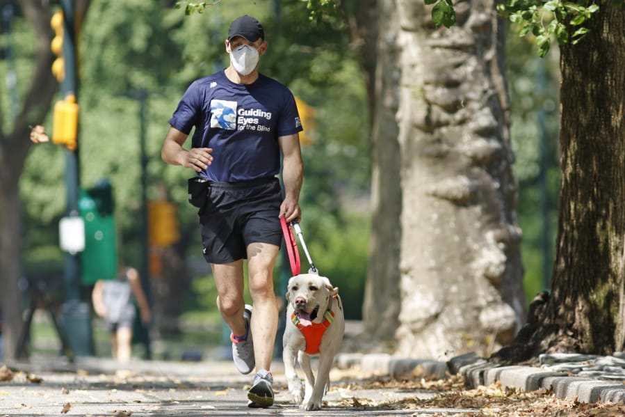 Thomas Panek runs with his running guide, Blaze, a Labrador retriever, Thursday, July 23, 2020, in Central Park in New York. Panek, a blind runner with a wall full of ribbons from marathons he ran with a human guide, developed a canine running guide training program five years ago after he became president and CEO of Guiding Eyes for the Blind in suburban New York.