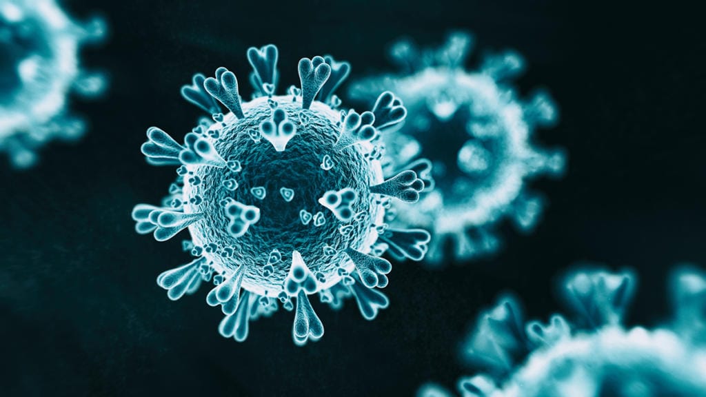 Abs 2019-nCoV RNA virus - 3d rendered image on black background.