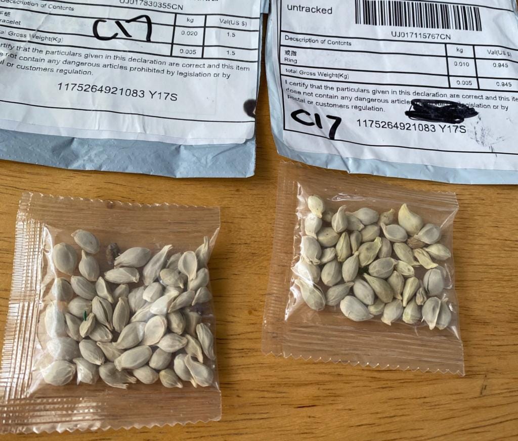 The Washington State Department of Agriculture joined officials in at least 27 states who are urging residents to report any unsolicited packages of seeds that seem to have been sent from China.