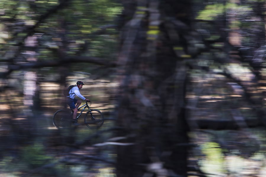 Kevin Furey, of Bend, mountain bikes his way through a section of+ the Phil&#039;s Trail complex on May 15.