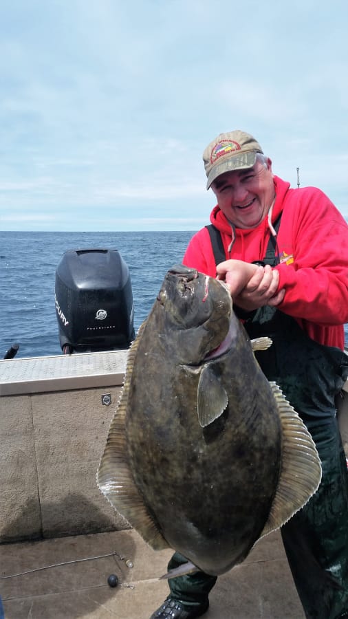 Big halibut are hard to hold up and hard to reel up, but well worth the trouble. A rare summer season for halibut has opened on the Washington coast after the spring season was closed.