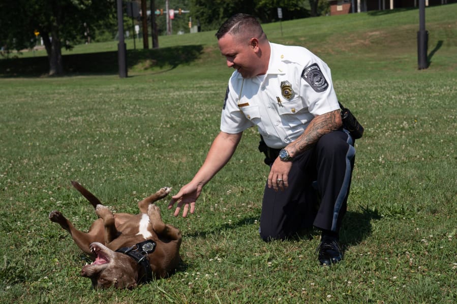 Halo takes a break from policing duties to get some belly rubs from Lt. Mickey Curran.