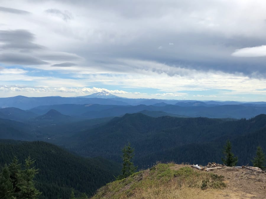 The Trapper Creek Wilderness, with Mount Hood in the distance, is seen from the top of 4,200-foot Observation Peak.