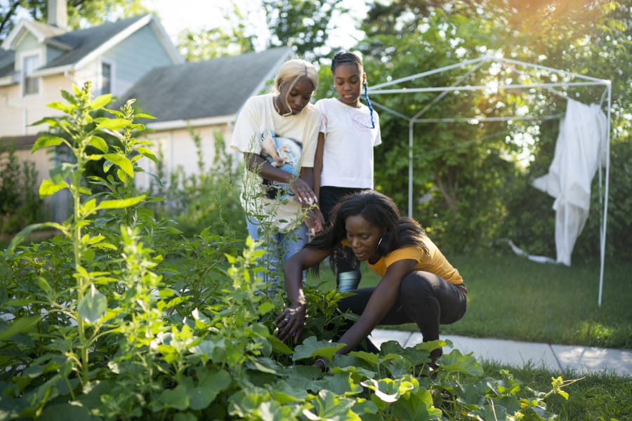 LeAndra Estis checked on the growth progress of vegetables in her backyard garden in St. Paul. Her daughters Quaia, left, and Lonna help in the garden and post their successes on social media.
