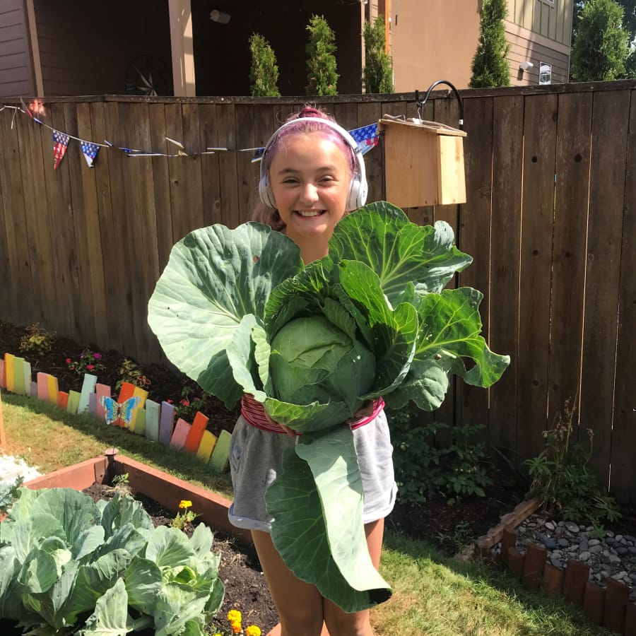 Melanie Gilbert, 12, has been keeping busy during the pandemic by maintaining a Victory Garden.