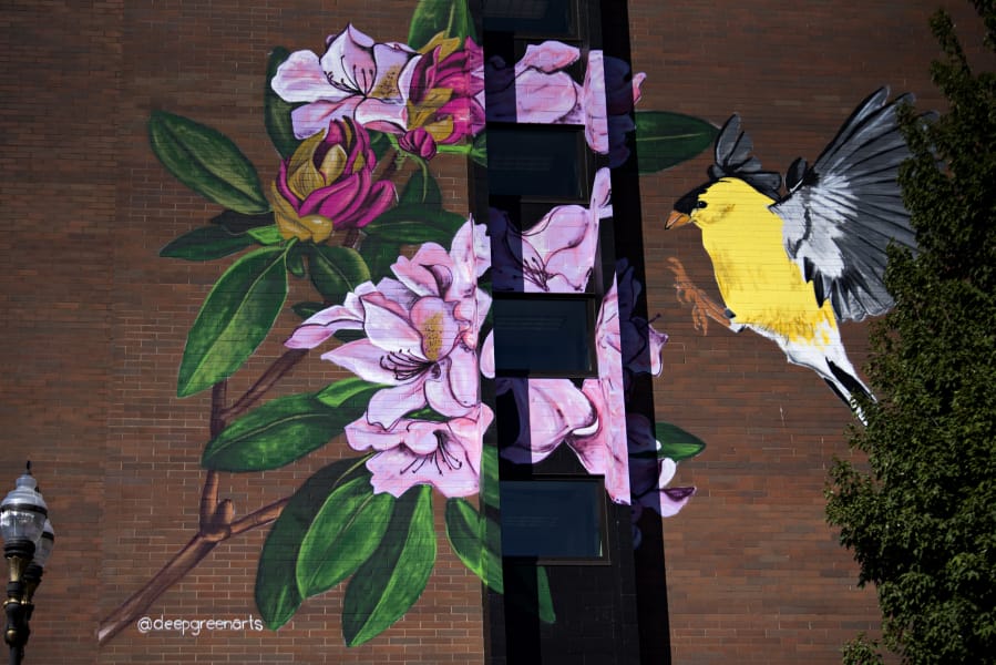 A colorful mural brightens up the side of Van Vista Plaza Assisted Living on Tuesday in downtown Vancouver. The new mural on the east side of the building depicts the state bird, the American Goldfinch, landing on the state flower, the Pacific rhododendron.