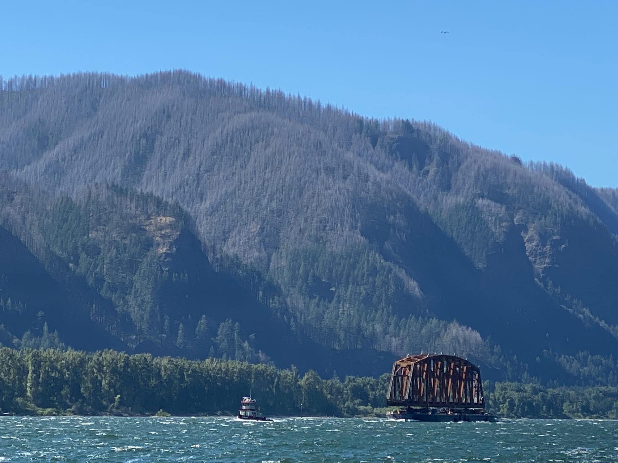 Bernadette Price of Skamania caught this photo of a BNSF Railway bridge in transit on the Columbia River to its new home on Drano Lake.