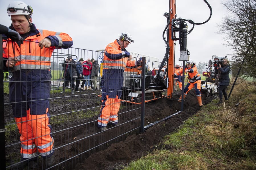 FILE - In this Monday Jan. 28, 2019 file photo, workers erect a fence along the Denmark Germany border at Padborg, Denmark. Officials say the number of wild boars in Denmark has fallen since a 70-kilometer (43.4-mile) fence was erected along the German border to protect the valuable Danish pork industry. The fence was put up last year in an attempt to prevent wild swine crossing from Germany and breeding with farm pigs or possibly passing disease.