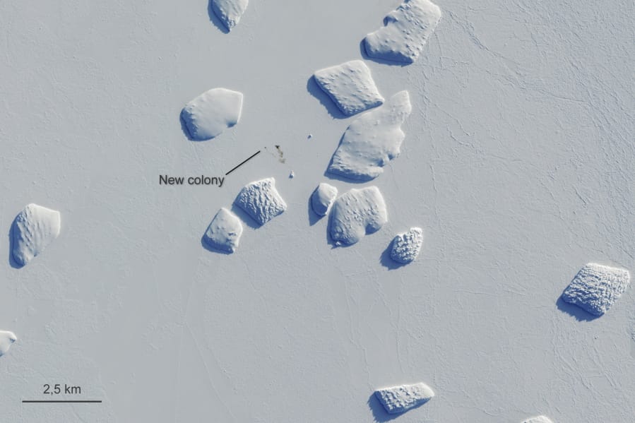 Markings points to a patch of penguin guano on a satellite image captured in August 2019.