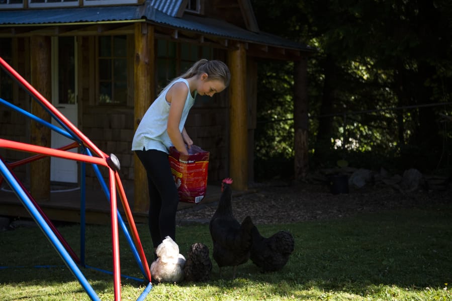 Amanda Livingston, 11, feeds the family&#039;s chickens outside their home. Livingston said she&#039;s noticed that every family has different comfort levels with social distancing.