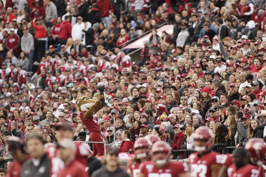 In this Nov. 16, 2019, photo, a packed crowd looks on as Washington State mascot Butch T. Cougar performs during an NCAA college football game between Washington State and Stanford in Pullman, Wash. The athletes weren&#039;t the only ones impacted when Washington State&#039;s fall football season was canceled by the coronavirus pandemic. Merchants in tiny Pullman, who depend on big football crowds, say they are losing a major chunk of their annual income. Pullman, the most remote outpost in the PAC-12, has only 34,000 residents and many businesses in town depend on visitors attracted by football games, graduation and other special events.