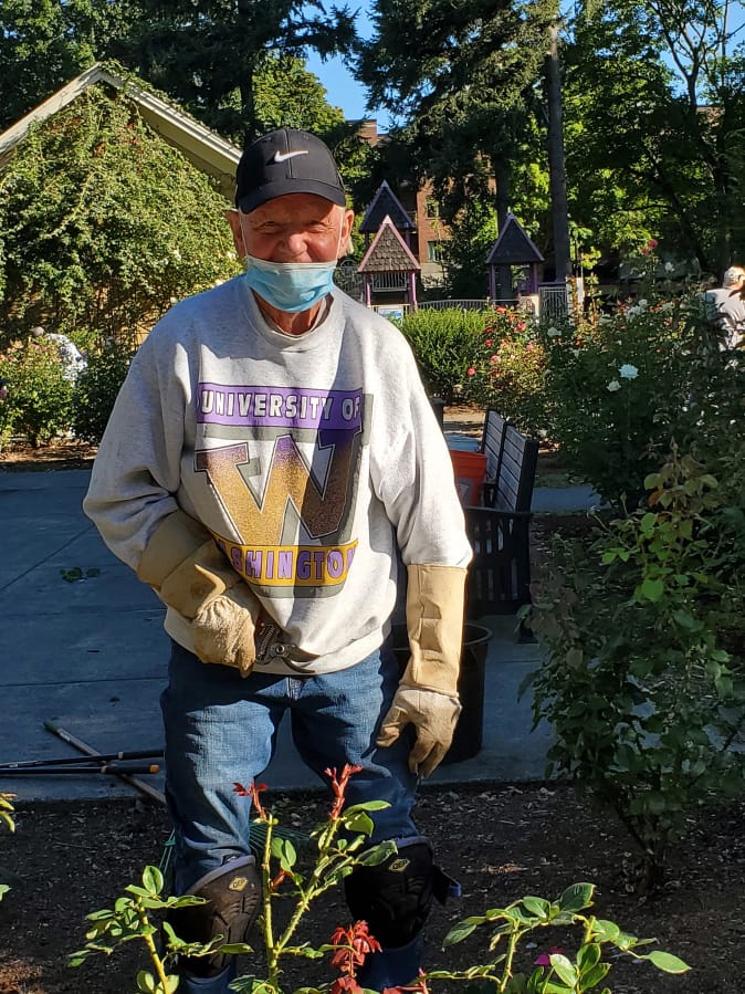 ESTHER SHORT: Bob Britt heads the maintenance efforts at the Esther Short Park Rose Garden.