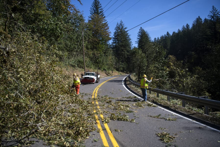 Clark County Public Works employees clear a downed tree from Washougal River Road in Washougal on Tuesday.