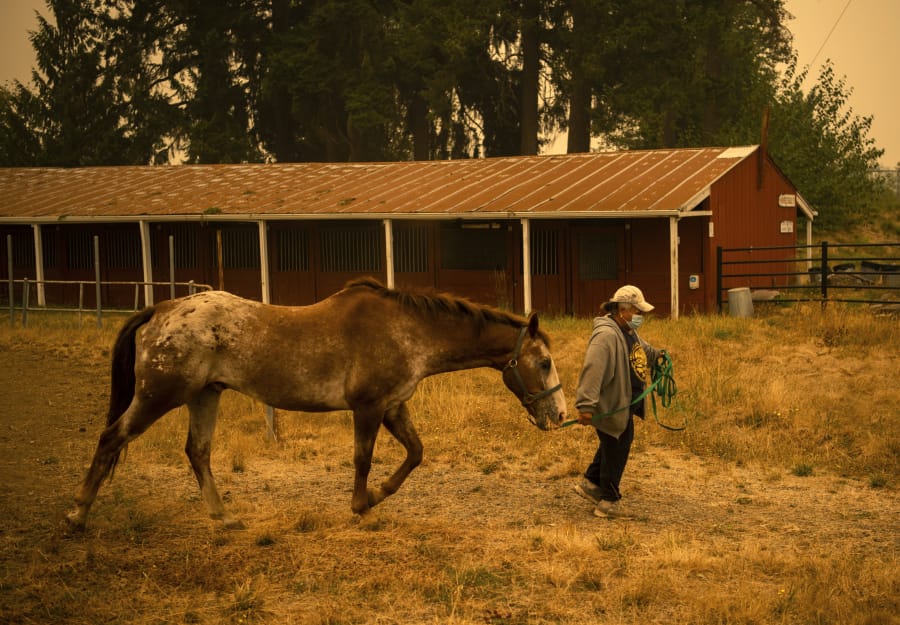 Deborah Mann of Milwaukie, Ore., walks with her horse Pete at the Clark County Event Center at the Fairgrounds on Friday. Mann boards her horse at Coyote Moon Ranch in Oregon City, Ore. The ranch welcomed many horses from the surrounding areas when the fires started, but then had to be evacuated too.