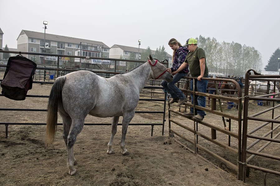 Cheyenne Joachim of Hockinson joins her brother, Dakoda, as they spend a quiet moment with Barbie, a horse evacuated from the wildfires, at the Clark County Saddle Club on Thursday morning. The club hopes to raise money for its new location on Thursday during Give More 24!, an annual day of giving in Southwest Washington.