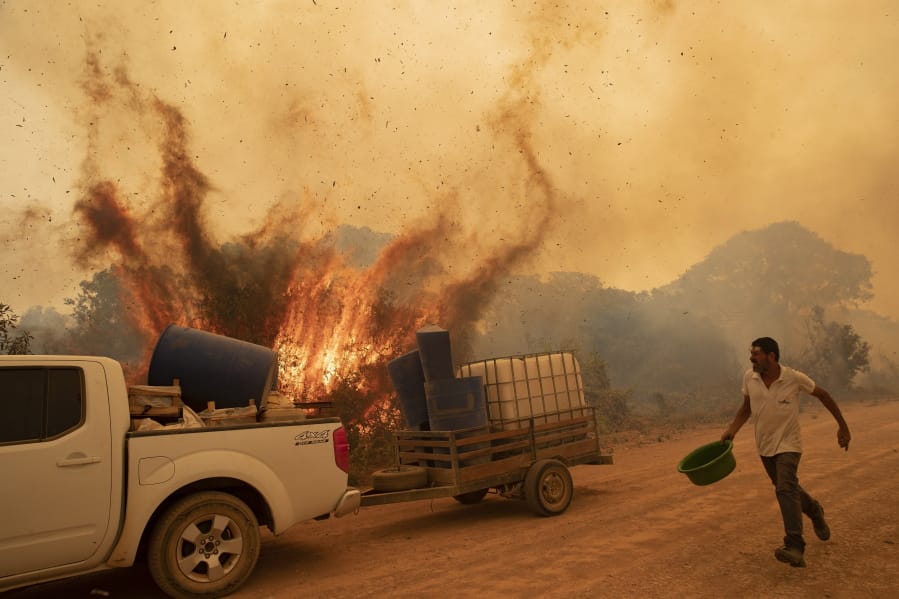 Volunteer Divino Humberto tries to douse the fire along a dirt road off the Trans-Pantanal highway, in the Pantanal wetlands near Pocone, Mato Grosso state, Brazil, Friday, Sept. 11, 2020. Pouring the water had little effect as wind redirected the fire toward a tree, causing it to explode as though it had been soaked with gasoline.