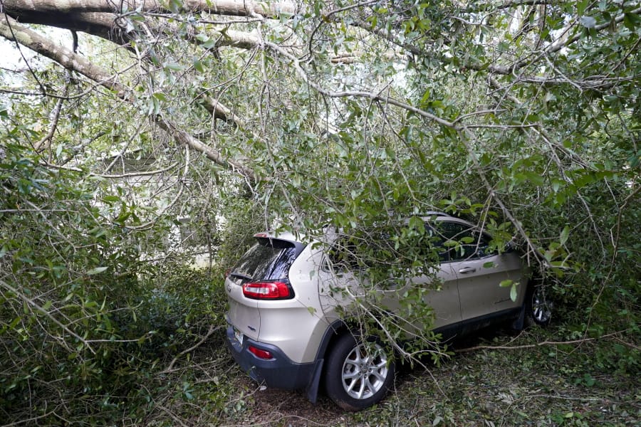 A car is covered in branches in the aftermath of Hurricane Sally, Friday, Sept. 18, 2020, in Pensacola, Fla.