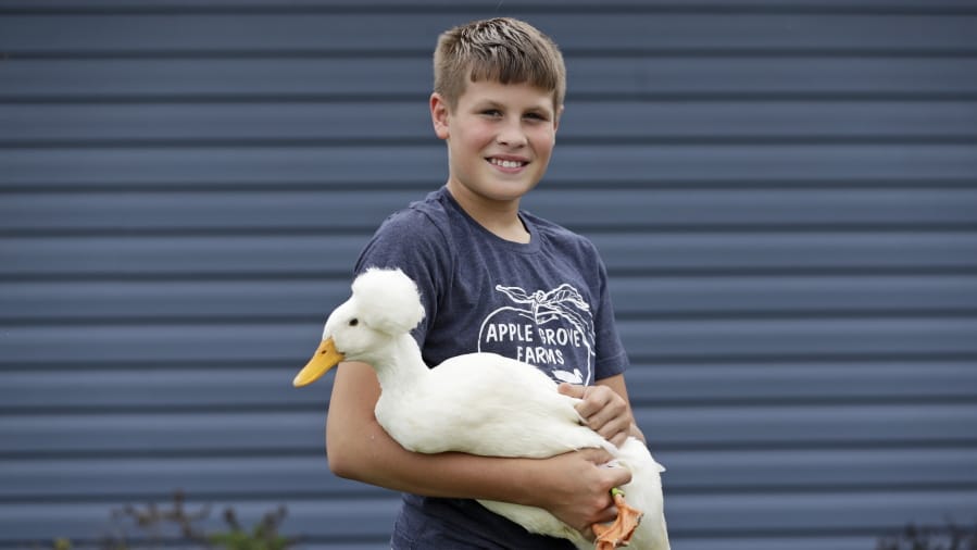 Payne Steffan poses for a photo with his duck, Arlo, Tuesday, Sept. 1, 2020, near Jenera, Ohio. Steffan is sad he won&#039;t get to show off his ducks or get to impress the judges with how much he knows. The Hancock County Fair was cancelled due to the coronavirus.