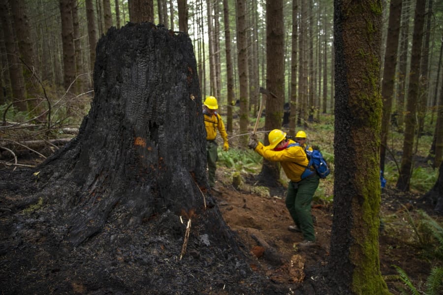 A fire crew from the Oregon Air National Guard works to dig out hot spots on the fire lines of the Holiday Farm Fire, east of Springfield, Ore., Monday Sept. 21, 2020.