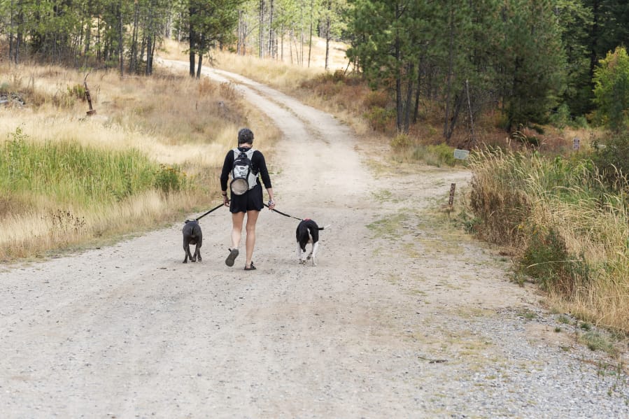 Kate Rau heads down the trail with Mac and Ivy, her two American Staffordshire terriers.