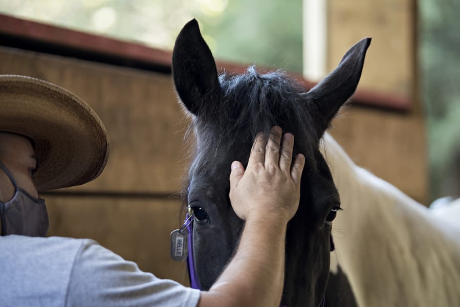 U.S. Army combat veteran Jon Steinmann spends a quiet moment bonding with Windhaven Therapeutic Riding horse Belle in La Center.