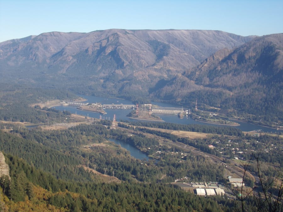 A view of Bonneville Dam from the Hamilton Mountain trail. The six-mile round trip hike is steep, but offers expansive views of the Columbia River Gorge.