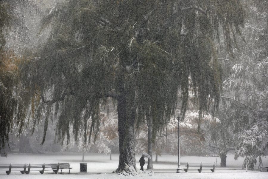 Snow falls on the Public Garden, Friday, Oct. 30, 2020, in Boston.