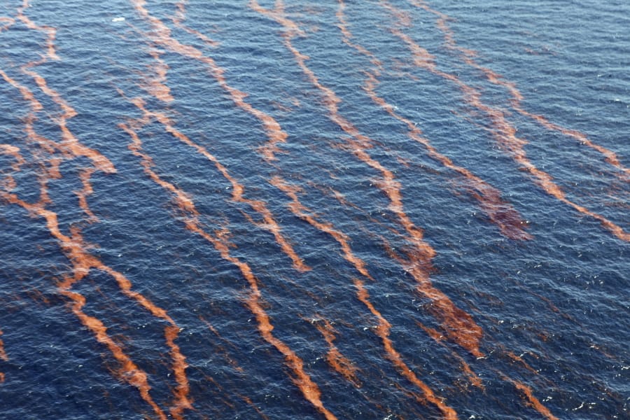 FILE - In this Monday, April 26, 2010, aerial file photo taken over the Gulf of Mexico, weathered oil is seen near the coast of Louisiana from a leaking pipeline that resulted from the explosion and collapse of the Deepwater Horizon oil rig a week earlier. Environmental groups have asked a federal court to toss out the government&#039;s assessment of oil and gas activity&#039;s likely effects on endangered species in the Gulf of Mexico. A lawsuit filed Wednesday, Oct. 21, 2020, says the report doesn&#039;t consider the likelihood of another catastrophic oil spill like BP&#039;s Deepwater Horizon spill of 2010.